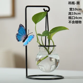 Zelený kôpor rastlín sklo transparentné váza kvet usporiadanie hydroponické kvetináče kované železné plochy obývacej miestnosti dekorácie