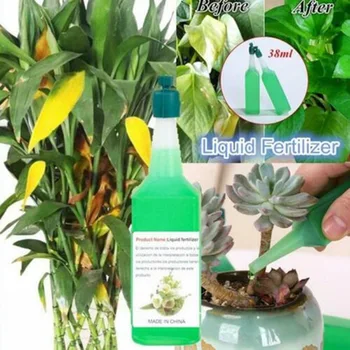 1 Fľaša Organické Odliatky Sústrediť Hnojivo Olivový Bonsai Strom Hydroponické Živín Riešenie Univerzálny Črepníkové Rastliny-35