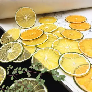 10pcs Sušené Lisované Ovocné Zelenú Pokožku Orange Plátky Rastlín Herbarium Pre Šperky Photo Frame Telefón Prípade Plavidlá typu 