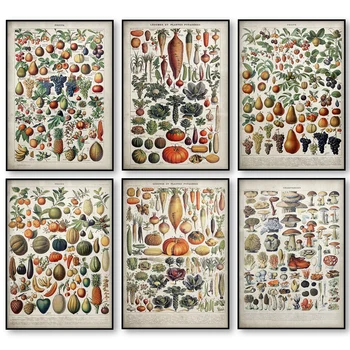 Vintage Zeleniny, Ovocia, Húb Plagát Plátno Tlačiť Starožitné Nástenné Art Print Botanická Obraz Vedy Plagát Kuchyňa Dekorácie