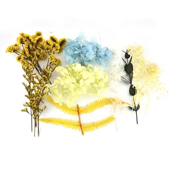 1Box Nail Art Dekorácie 3D Sušené Farebný Kvet Aromaterapia Epoxidové Živice Náplň Remeselných Dekor Príslušenstvo Vzory Pre Nail DIY