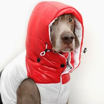Zimné Psa Dole Kabát Módne Šteňa Bunda Teplé Oblečenie pre psy, pre Malé a Stredné Psy Yorkie Oblečenie Shih Tzu Oblečenie A82