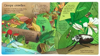 POP-UP Jungle anglický Vzdelávací 3D Klapka Obrázkové Knižky, Enchanted Forest Deti, Deti z Čítania Knihy