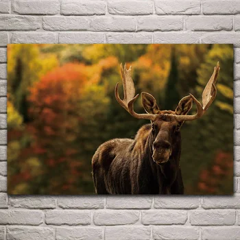 živočíchy cicavce moose wild jesennej prírody textílie plagát obývacia izba domov stenu dekoratívne plátno hodváb umenie výtlačkov KL728
