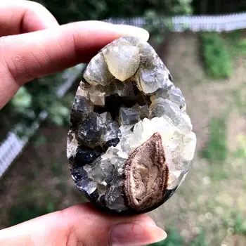 Prírodné Skalné Septarium Drsné Crystal Geode Klastra Minerálne Vzor Fosílnych Dekorácie Prírodné Kamene a Kryštály