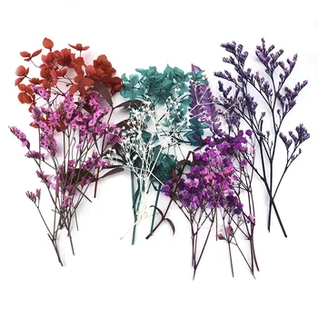 1Box Nail Art Dekorácie 3D Sušené Farebný Kvet Aromaterapia Epoxidové Živice Náplň Remeselných Dekor Príslušenstvo Vzory Pre Nail DIY