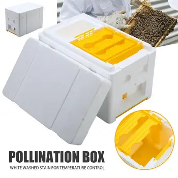 Včelí Úľ Včelárskych Kráľ Box Opeľovanie Box Pena Rámy Včelárskych Tool Kit Úrody Včelí Úľ Domov Úľa Prípade Včelár nástroje