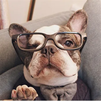 Francúzsky Buldog Pug Psa Sveter Zimné Psie Oblečenie, Zimné Pug Oblečenie Psa Sweatershirt Pletené Oblečenie Pre Pet Knitwear Oblečenie