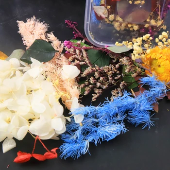 DIY Sušené Kvety, Živica Formy Náplne Sušené Kvety UV Expoxy Flower Nail Art Stlačené Skutočné Kvety pre Remeselníci Domáce Dekorácie