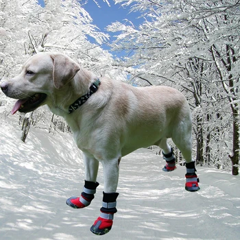 Psy Dážď Topánky Pet Topánky Pre Stredné Lagre Psov Botičky Vonkajšie Packa Chránič Pes Topánky Labrador Chihuahua Pet Snow Topánky