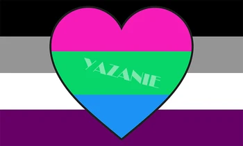 YAZANIE 128*192 cm > /160 x 240 cm/192*288cm LGBT Asexual Aromantic Bisexuálne Pansexual Polysexuality Rainbow Auto Strane Combo Pride Vlajky