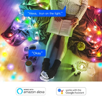 Tuya Smartlife LED Reťazec Vianočné Dekorácie Svetlá RGB Víla String Svetlá, WIFI, Bluetooth, Diaľkové Ovládanie, Alexa Domovská stránka Google