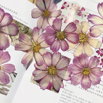 60 ks malých suchý kvet sviečka sušených rastlín epoxidové živice prívesok šperky DIY strane záložky a nálepky materiál