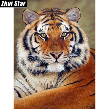 Zhui Star Plné Námestie Diamond 5D DIY Diamond Obraz 