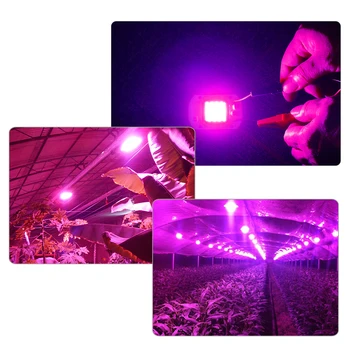 5 ks Rásť LED COB celé Spektrum Rásť Svetlo Čip 380-780nm 20W 30W 50W Krytý Rastú Lampa Pre Rastliny, Semená, Kvety Stanu Diódové Svietidlá