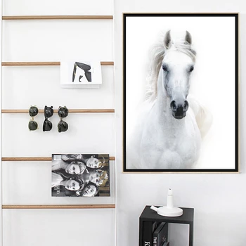 Nový Biely Kôň Plátno Maľby Zvierat, Plagát a Tlač Nordic Wall Art Obrázky pre Office Obývacia Izba Domáce Dekorácie bez rámu