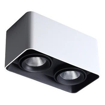 Single/Double Head Stropné Svietidlo Námestie Stmievateľné LED Nástenné Downlight 10W 20W 24W KLASU Spot Light Povrchovú montáž Dole Svetlo