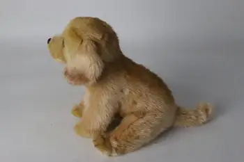 Vysoko kvalitné dlhé plyšové málo Labrador super roztomilý simulácia dieťa psa bábika domáce dekorácie Vianoce, narodeninové darčeky pre dieťa