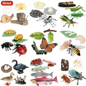 Oenux Simulácia Zvieratá Cyklu Rastu Akčné Figúrky Slimáky, Losos, Motýľ, Včela Bean Kel Modelu Vzdelávacích Roztomilé Deti Hračka
