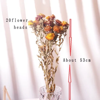 Prirodzene Sušené Šťastný Chryzantéma Umelý Kvet Kytice Kvetinový Dekor Falošné Kvet Daisy DIY Garland Domov Svadobná Výzdoba