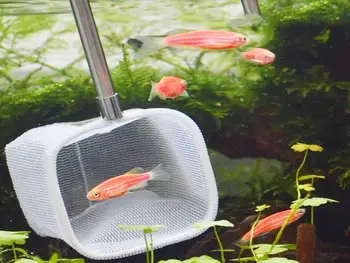 100ks Flexibilné 3D Akvarijné Ryby Nádrž Chytiť Čistá Nehrdzavejúca Oceľ Rybársky Prút Kruhové Námestie Vrecku Krevety Rybárskych Sietí #4108